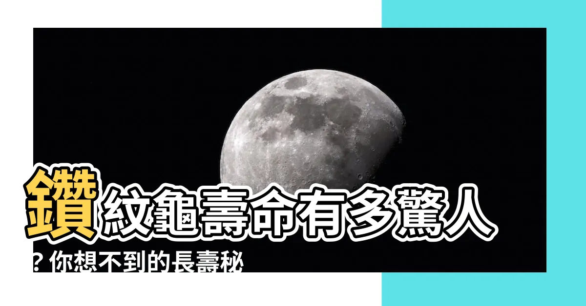 【鑽紋龜壽命】鑽紋龜壽命有多驚人？你想不到的長壽秘訣！