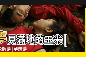 【孕婦夢見滿地的玉米子】夢見滿地的玉米 |周公解夢 |孕婦夢見玉米是什麼意思 |