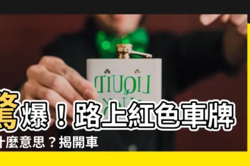 【紅色車牌是什麼意思】驚爆！路上紅色車牌是什麼意思？揭開車牌顏色密碼！