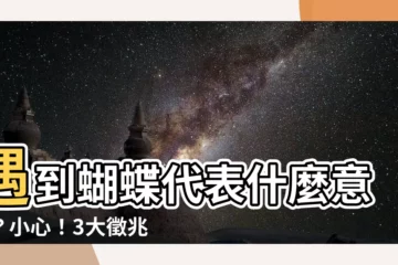 【遇到蝴蝶 意思】遇到蝴蝶代表什麼意思？小心！3大徵兆預示大財即將到來！