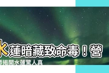 【水蓮有毒】水蓮暗藏致命毒！營養師揭開水蓮驚人真相，別再傻傻吃了！