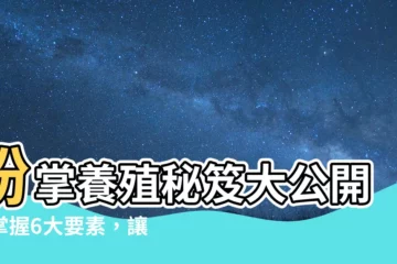 【粉掌】粉掌養殖秘笈大公開！掌握6大要素，讓粉掌花開燦爛