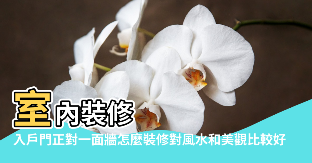 【風水 正對 牆側面】室內裝修 |入戶門正對一面牆怎麼裝修對風水和美觀比較好 |進門正對牆的玄關擺什麼風水好 |