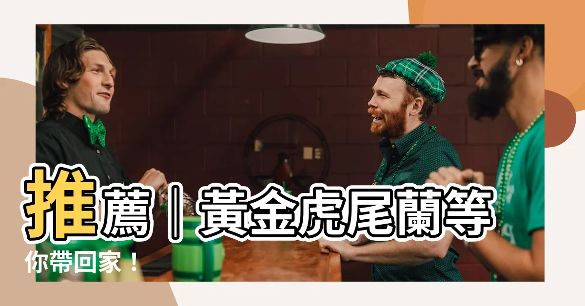 【黃金虎尾蘭】推薦｜黃金虎尾蘭等你帶回家！