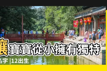 【11.12出生寶寶姓名】讓寶寶從小擁有獨特的名字 |12出生寶寶姓名 |八字算命 |