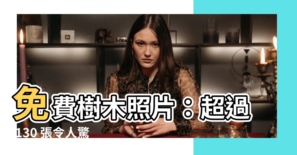 【免費樹木】免費樹木照片：超過 130 張令人驚嘆的樹木圖像