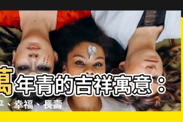 【萬年青意思】萬年青的吉祥寓意：太平、幸福、長壽