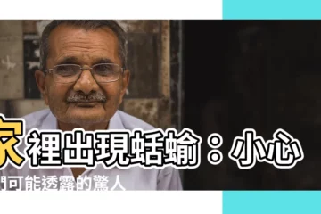 【家裡出現蛞蝓】家裡出現蛞蝓：小心它們可能透露的驚人徵兆！