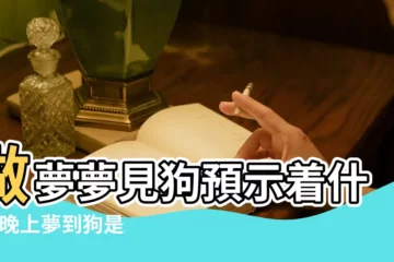 【晚上夢見狗追什麼預兆】做夢夢見狗預示着什麼 |晚上夢到狗是什麼預兆 |晚上睡覺夢到12生肖的狗會有什麼暗示呢 |