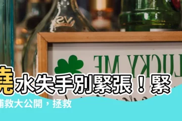 【水澆太多怎麼辦】澆水失手別緊張！緊急補救大公開，拯救水澆過多的植物