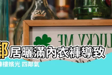 【鄰居曬內衣褲】鄰居曬滿內衣褲導致整棟樓嬪光 四鄰氣炸：有夠沒公德心