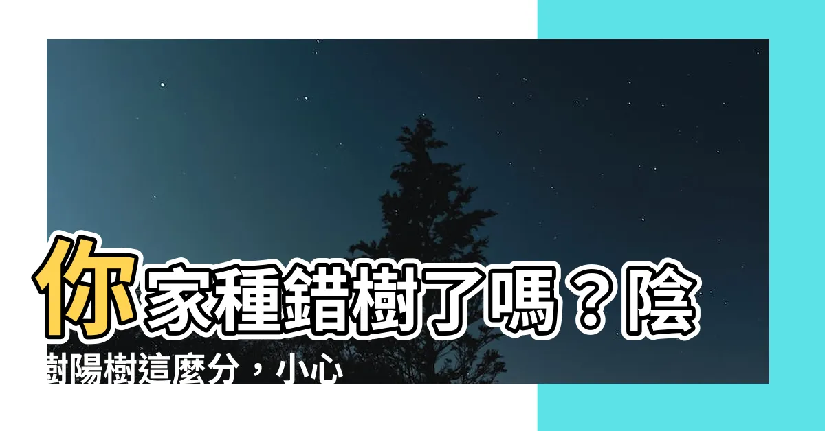 【陰樹 陽樹】你家種錯樹了嗎？陰樹陽樹這麼分，小心犯風水禁忌後悔莫及！