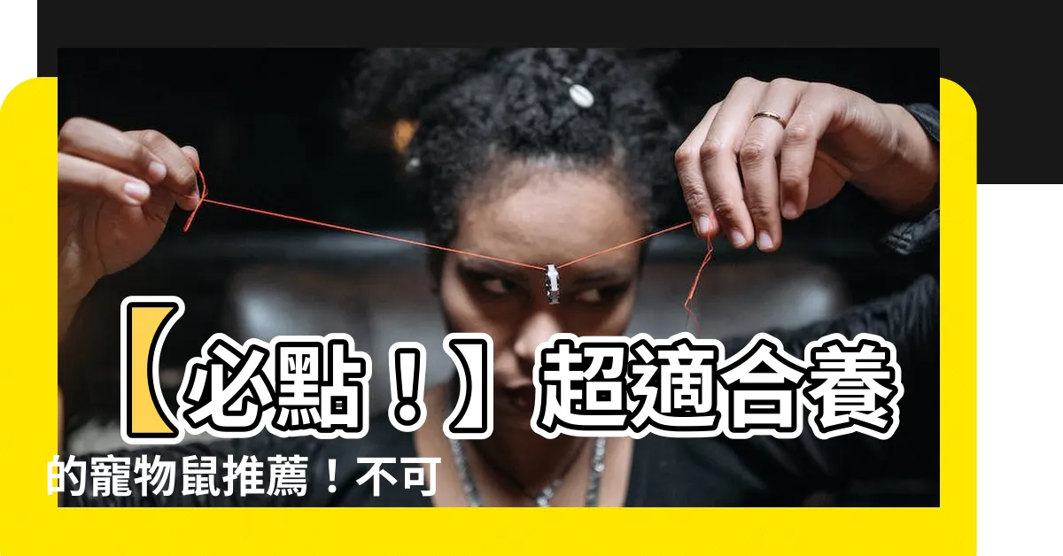 【寵物鼠】【必點！】超適合養的寵物鼠推薦！不可錯過的七種類鼠飼養分享！