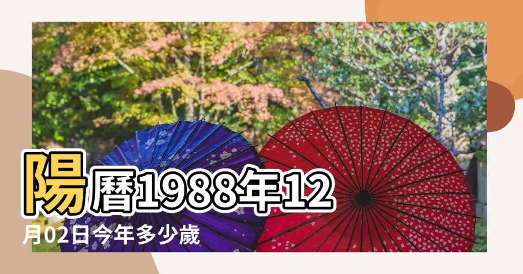 陽曆1988年12月02日今年多少歲 |1988年今年多大 |1988年屬龍今年多大2023 |【1988年生人2月生日今年多大了】