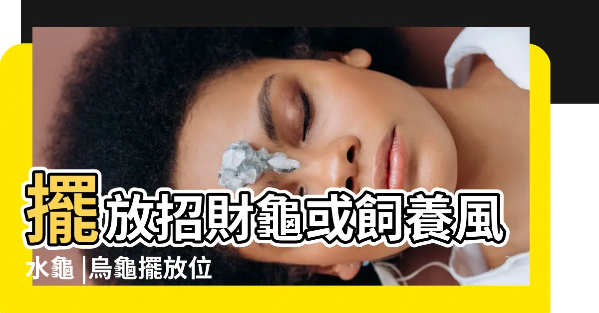 【烏龜風水擺設】擺放招財龜或飼養風水龜 |烏龜擺放位置風水圖房間養龜風水禁忌 |家居吉祥四大風水須知 |