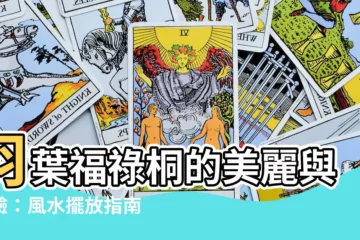 【羽葉福祿桐風水】羽葉福祿桐的美麗與靈驗：風水擺放指南與注意事項