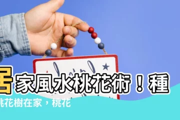 【家裡種桃花】居家風水桃花術！種棵桃花樹在家，桃花運爆棚招好緣