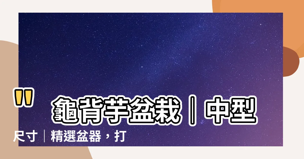 【龜背芋適合的盆器】"龜背芋盆栽｜中型尺寸｜精選盆器，打造完美的龜背芋盆栽"