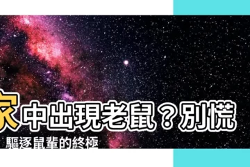 【家中出現老鼠】家中出現老鼠？別慌張！驅逐鼠輩的終極指南