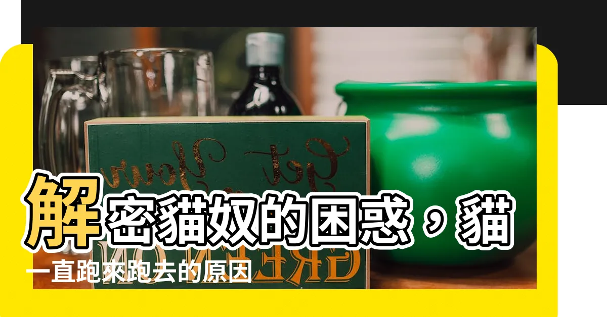 【貓一直跑來跑去】解密貓奴的困惑，貓一直跑來跑去的原因竟然是這樣！