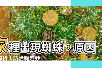 【家裡為什麼會有蜘蛛】家裡出現蜘蛛，原因大解析！防治驅趕妙招一次看