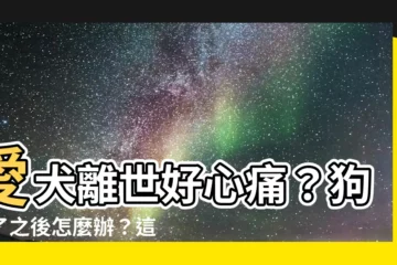 【狗死了怎麼處理】愛犬離世好心痛？狗走了之後怎麼辦？這篇讓你不再不知所措！