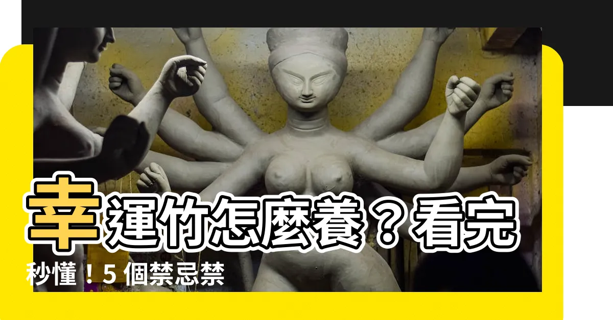【幸運竹怎麼養】幸運竹怎麼養？看完秒懂！5 個禁忌禁忌告訴你！
