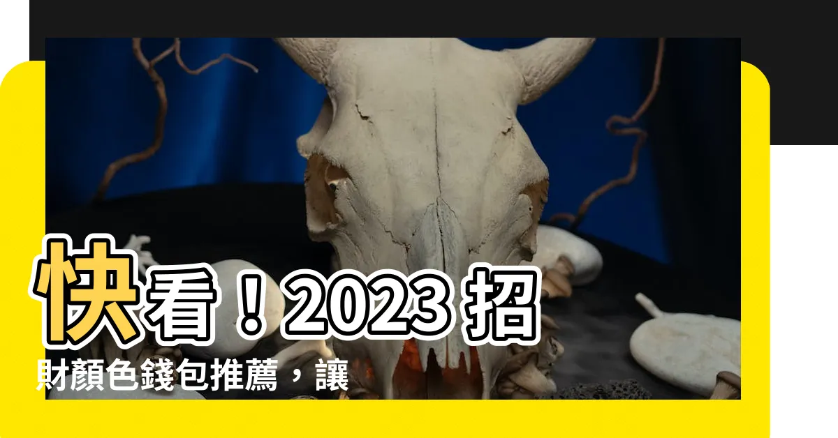 【2023招財顏色】快看！2023 招財顏色錢包推薦，讓你錢滾錢