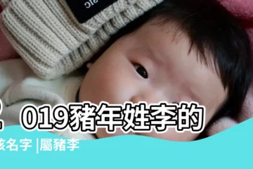 【豬年李姓取名字大全女孩】2019豬年姓李的女孩名字 |屬豬李姓女孩名字 |豬年李姓男孩女孩名字大全 |