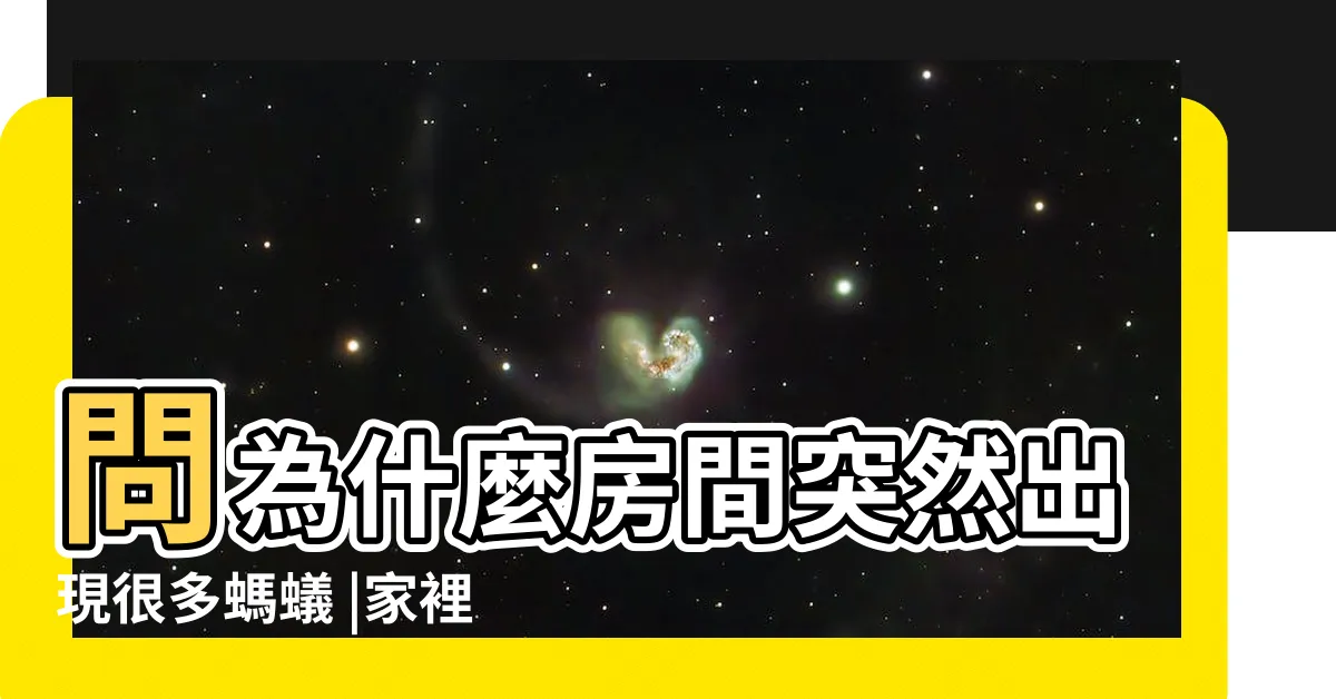 【房間突然出現很多螞蟻】問為什麼房間突然出現很多螞蟻 |家裡突然冒出很多小螞蟻怎麼辦 |4個徵兆不可不知 |