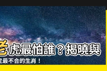 【屬虎跟什麼生肖不合】老虎最怕誰？揭曉與老虎最不合的生肖！
