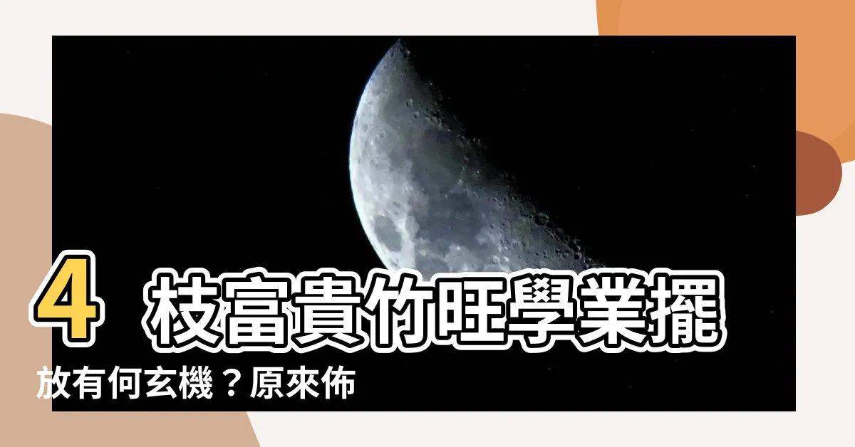 【4枝富貴竹】4枝富貴竹旺學業擺放有何玄機？原來佈局這樣擺才能催旺學業運