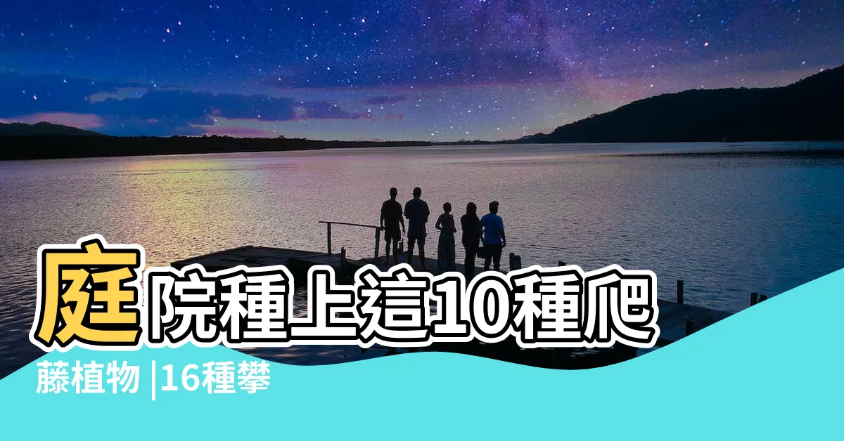 【攀藤花卉】庭院種上這10種爬藤植物 |16種攀藤植物做成花牆或門廊 |打造童話城堡花牆不是夢 |