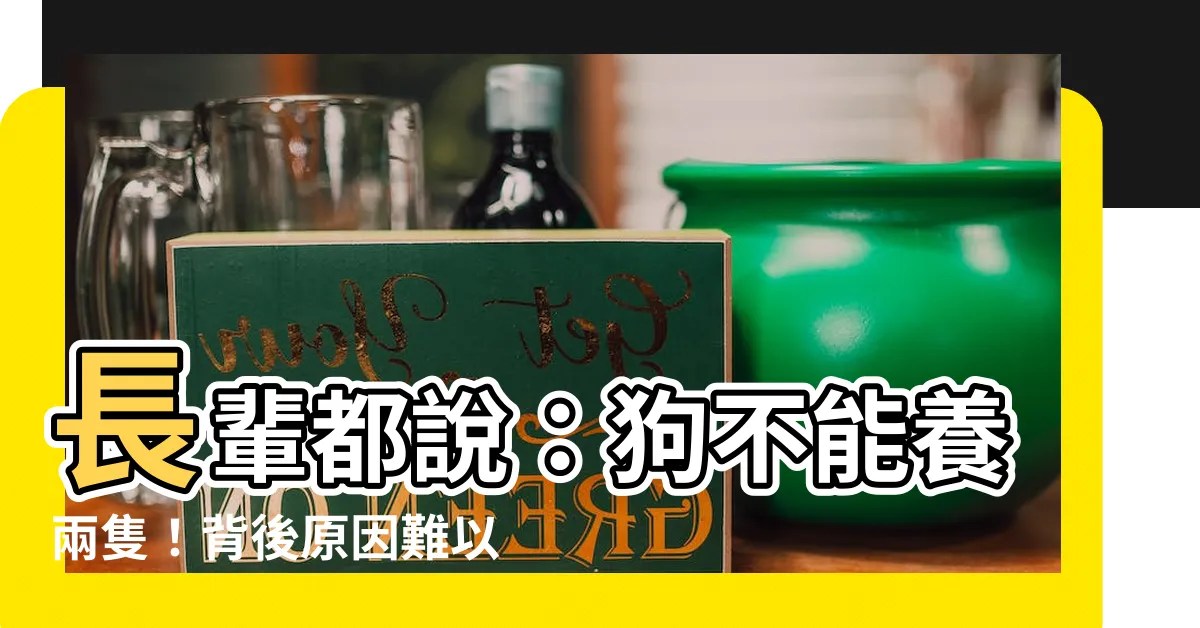 【狗不能養兩隻】長輩都説：狗不能養兩隻！背後原因難以想像