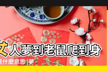 【女人夢見老鼠爬到背上】女人夢到老鼠爬到身上是什麼意思 |夢見老鼠爬到自己背上 |夢見老鼠在我背上 |