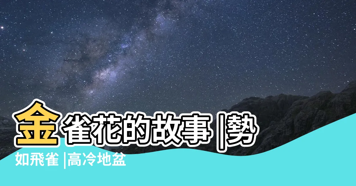 【金雀花 花語】金雀花的故事 |勢如飛雀 |高冷地盆花春天獨家限量販售 |