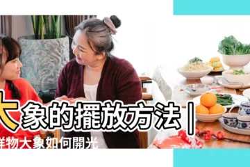 【大象開光方法介紹】大象的擺放方法 |吉祥物大象如何開光 |大象有什麼作用 |