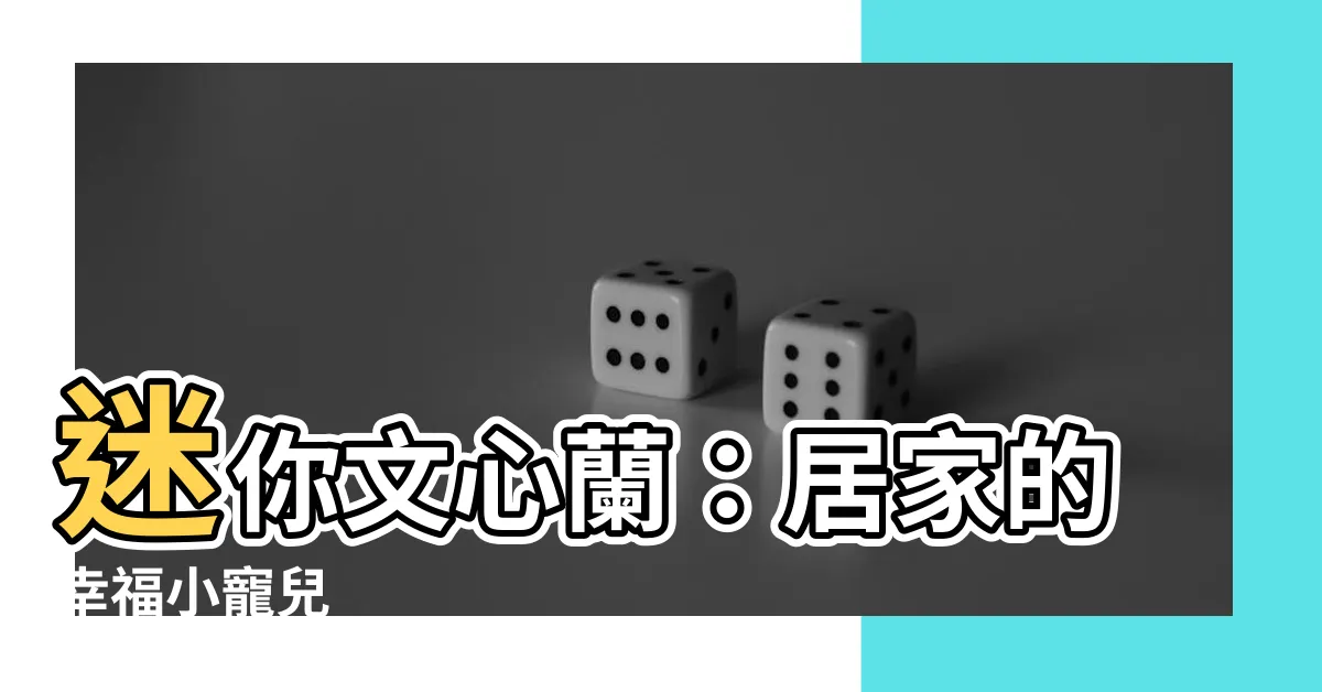 【迷你文心蘭】迷你文心蘭：居家的幸福小寵兒