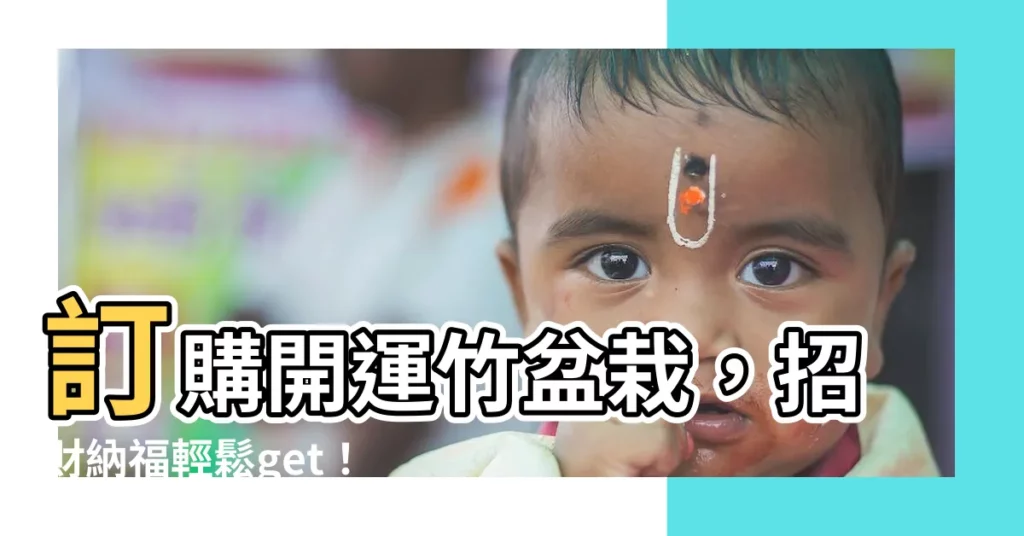 【開運竹盆栽】訂購開運竹盆栽，招財納福輕鬆get！