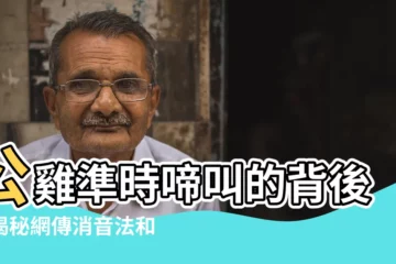 【公雞啼叫】公雞準時啼叫的背後：揭秘網傳消音法和黎明奧秘