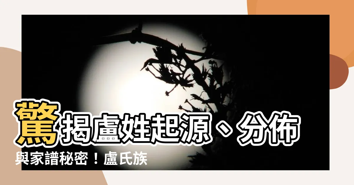【盧氏族譜】驚揭盧姓起源、分佈與家譜秘密！盧氏族譜大解密