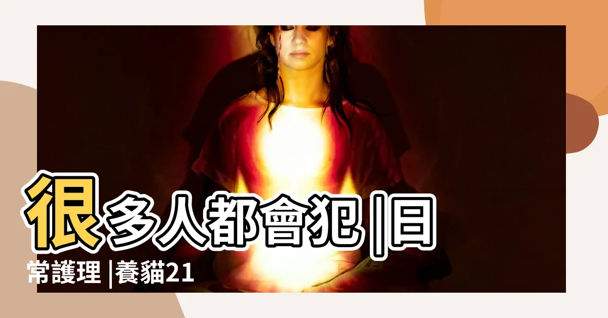 【養貓的禁忌】很多人都會犯 |日常護理 |養貓21條禁忌 |