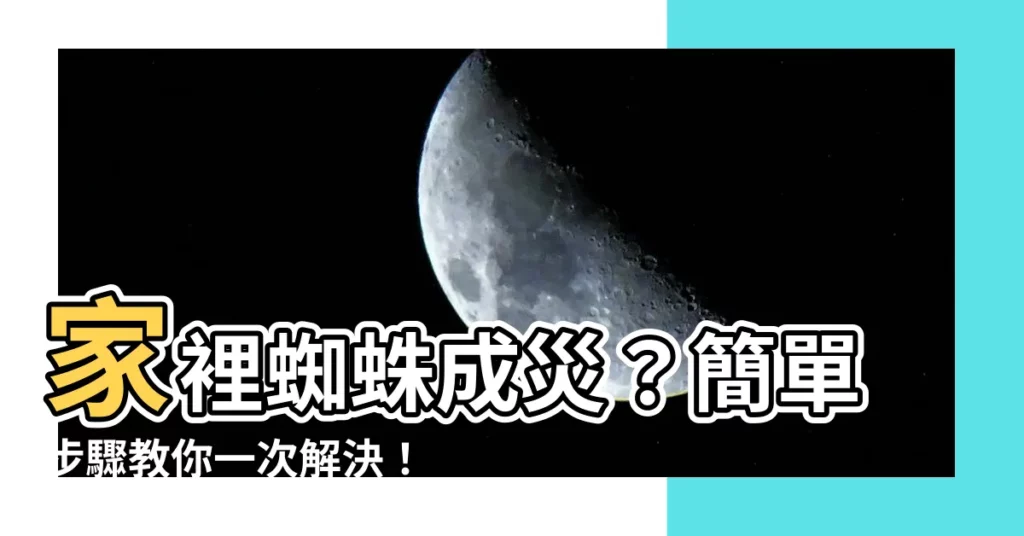 【家裡很多蜘蛛】家裡蜘蛛成災？簡單步驟教你一次解決！