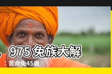 【1975 兔】1975 兔族大解密！：苦命兔45歲後柳暗花明！