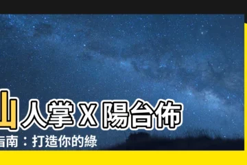 【仙人掌陽台佈置】仙人掌 X 陽台佈置指南：打造你的綠意仙境