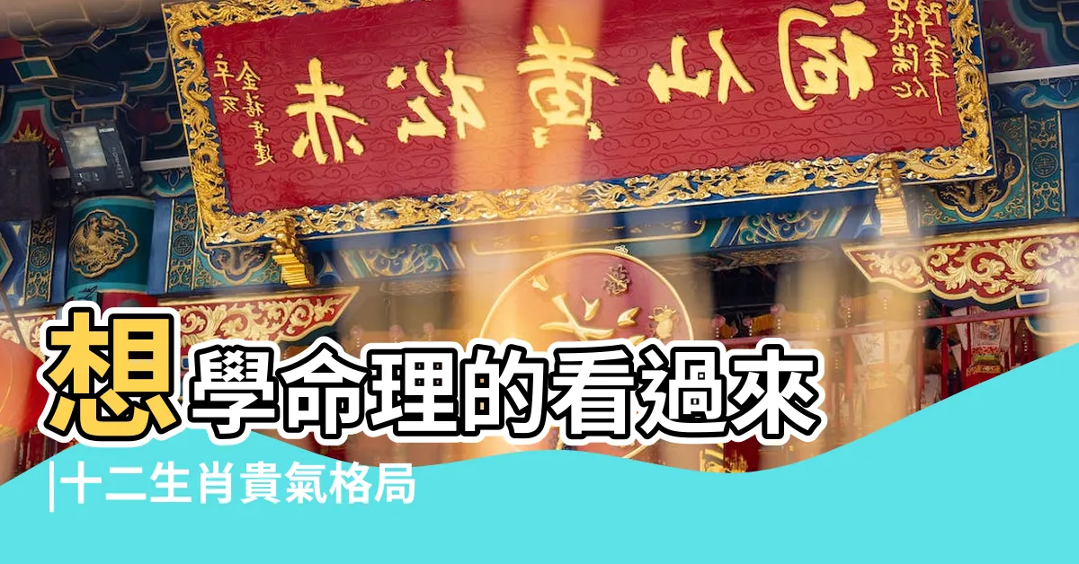 【天元一氣】想學命理的看過來 |十二生肖貴氣格局 |看你有沒有 |