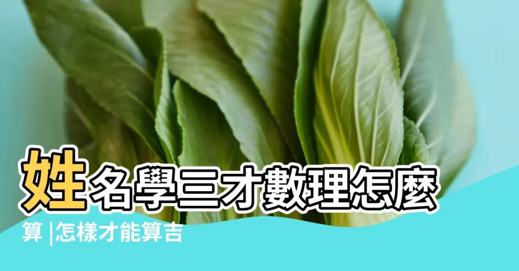 姓名學三才數理怎麼算 |怎樣才能算吉凶 |姓名學三才配置 |【名字三才五行怎麼算】