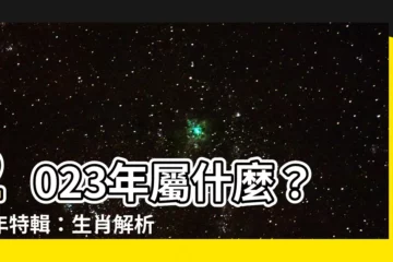 【2023年屬】2023年屬什麼？兔年特輯：生肖解析、運勢、禁忌一次看！