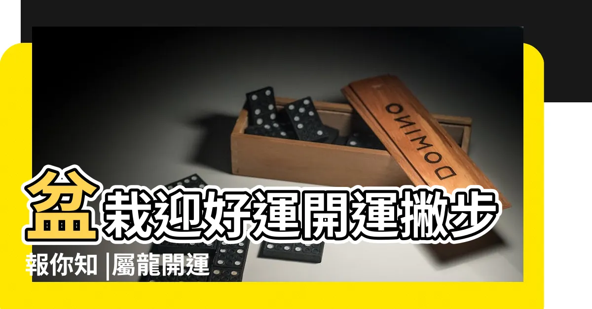【狀元紅風水】盆栽迎好運開運撇步報你知 |屬龍開運植物 |看完嚇的我冷汗直冒 |