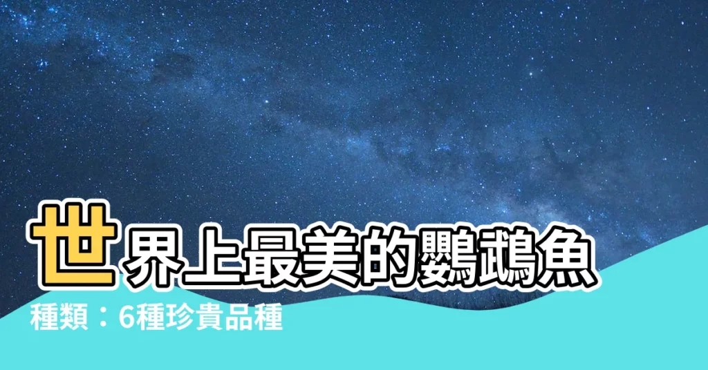【鸚鵡魚種類】世界上最美的鸚鵡魚種類：6種珍貴品種你見過嗎？